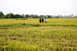 sun bắc ninh